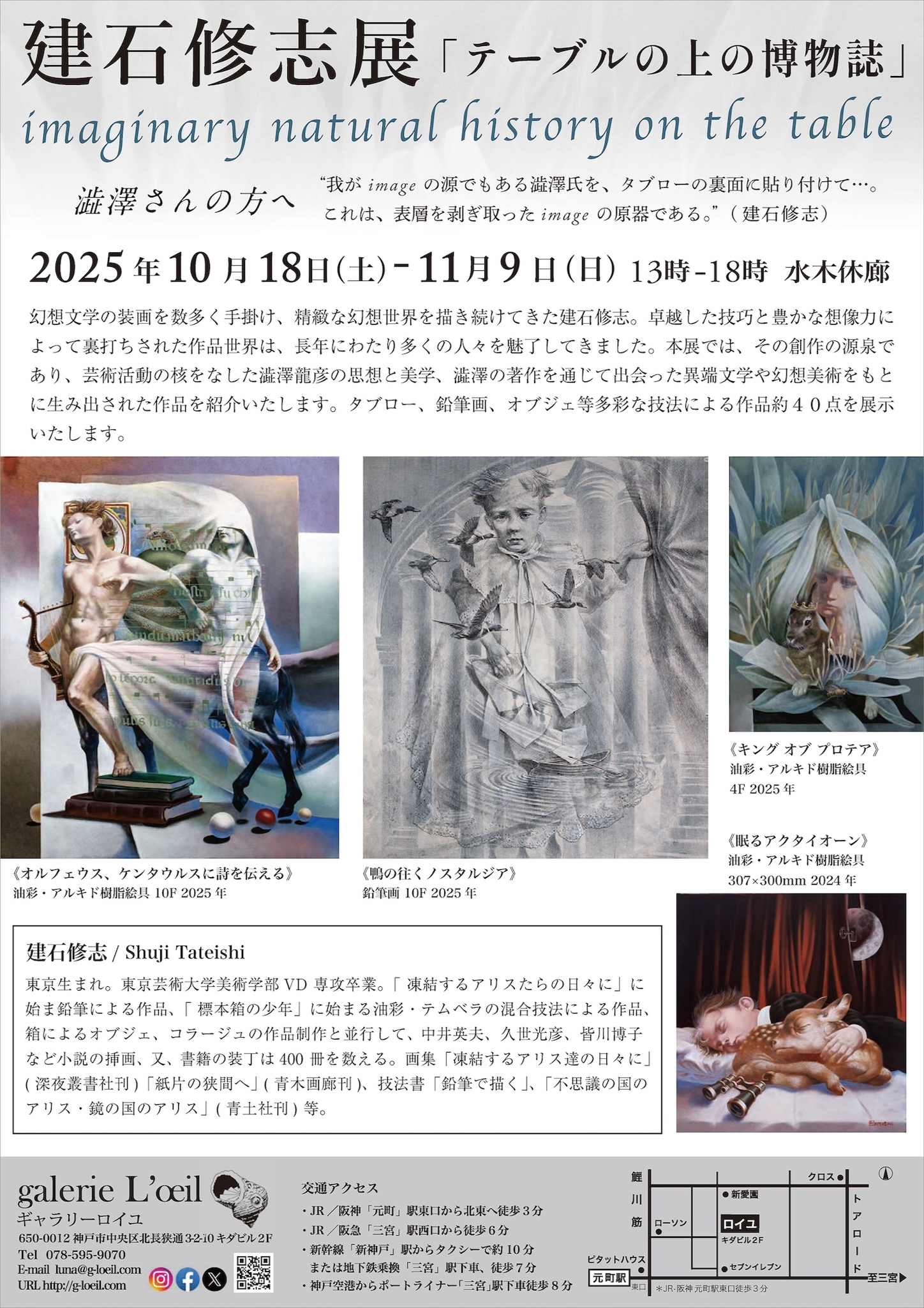 建石修志展《テーブルの上の博物誌ー澁澤さんの方へ》